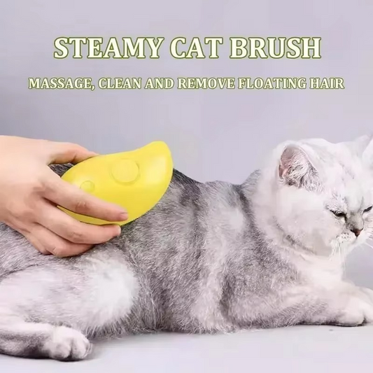 Galileu's Steamy Brush